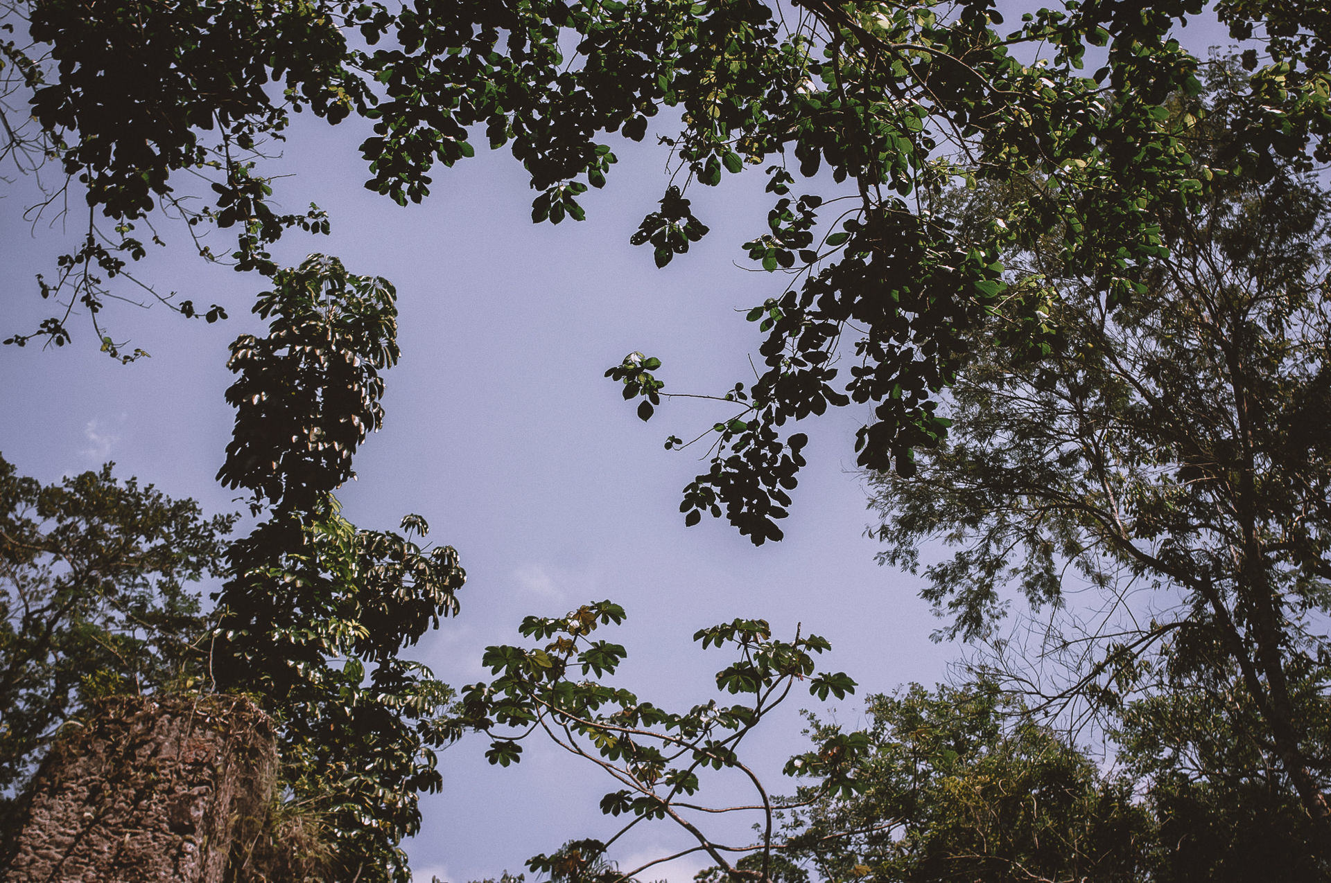 Foto Thalita e Claudio | Sintonia do Amor || Ubatuba - SP - Imagem 5